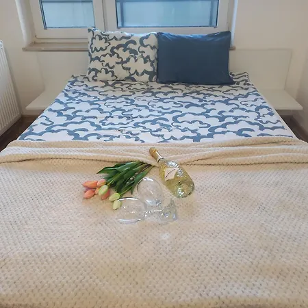 Wygodne Mieszkania Ceglana Apartment